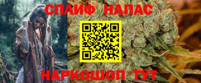 a pvp Славянск-на-Кубани