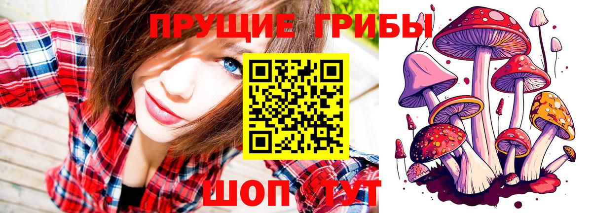 Галлюциногенные грибы Cubensis Рославль